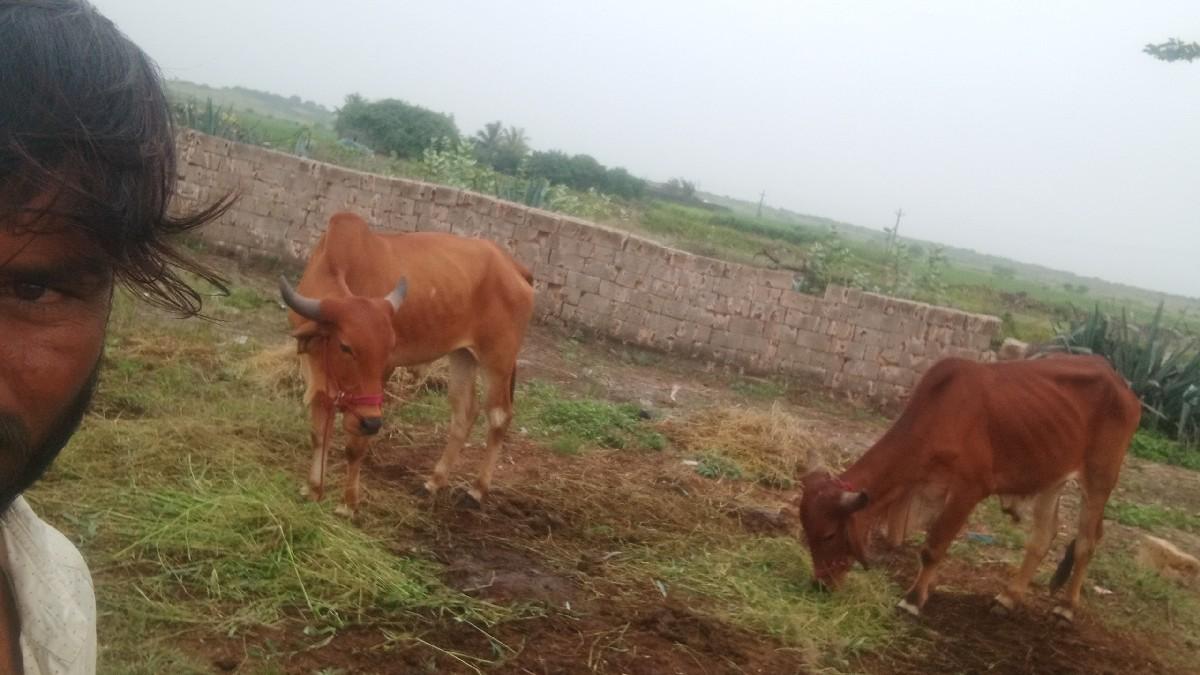 થંબનેલ 2