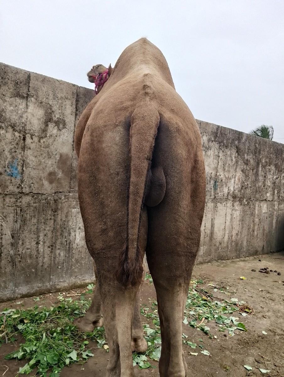 થંબનેલ 3