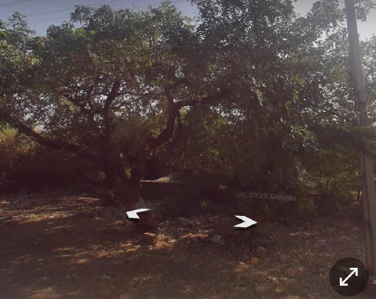 थंबनेल 2