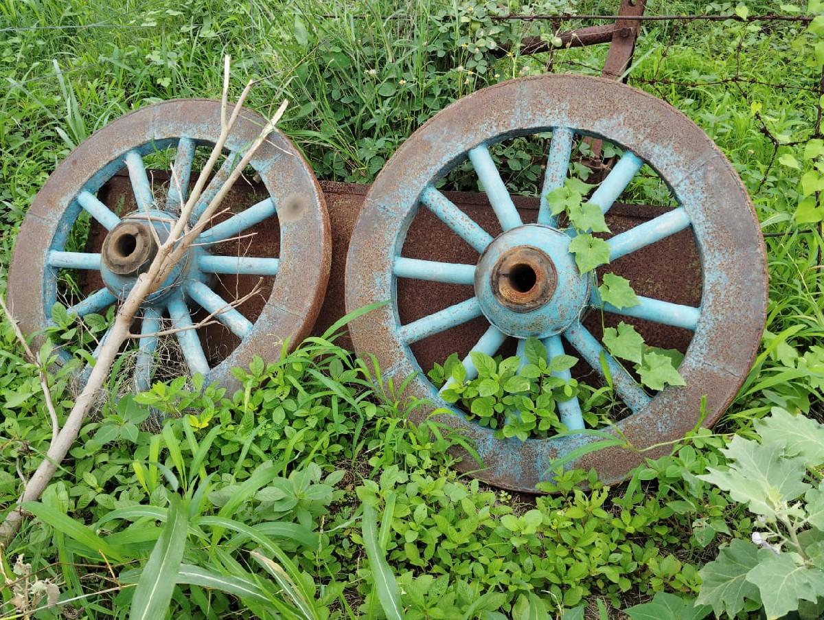 થંબનેલ 3