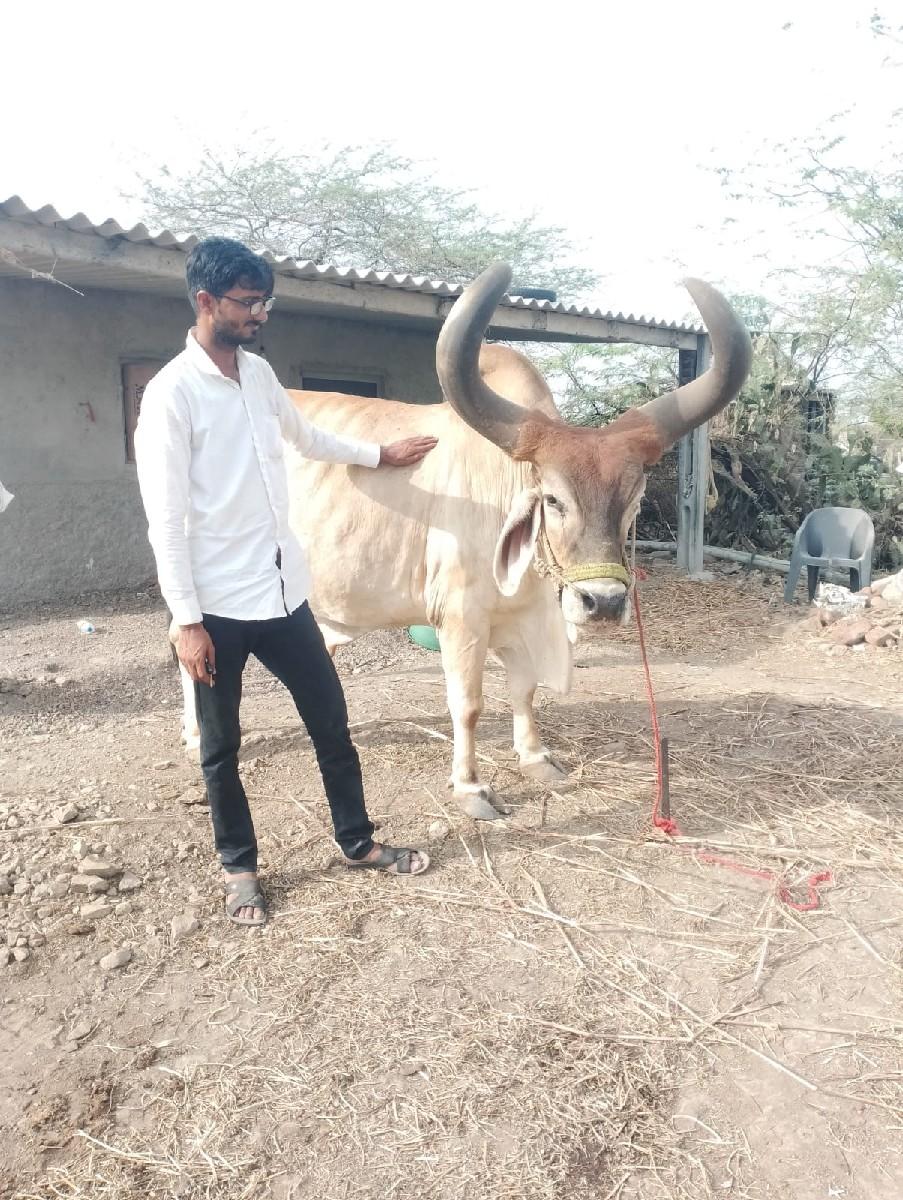 Bharat Vishva vanon se