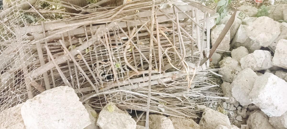 थंबनेल 2