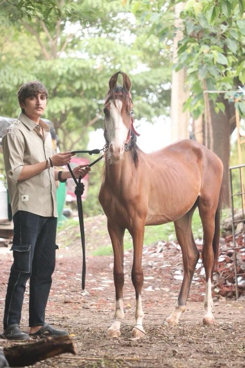 थंबनेल 2