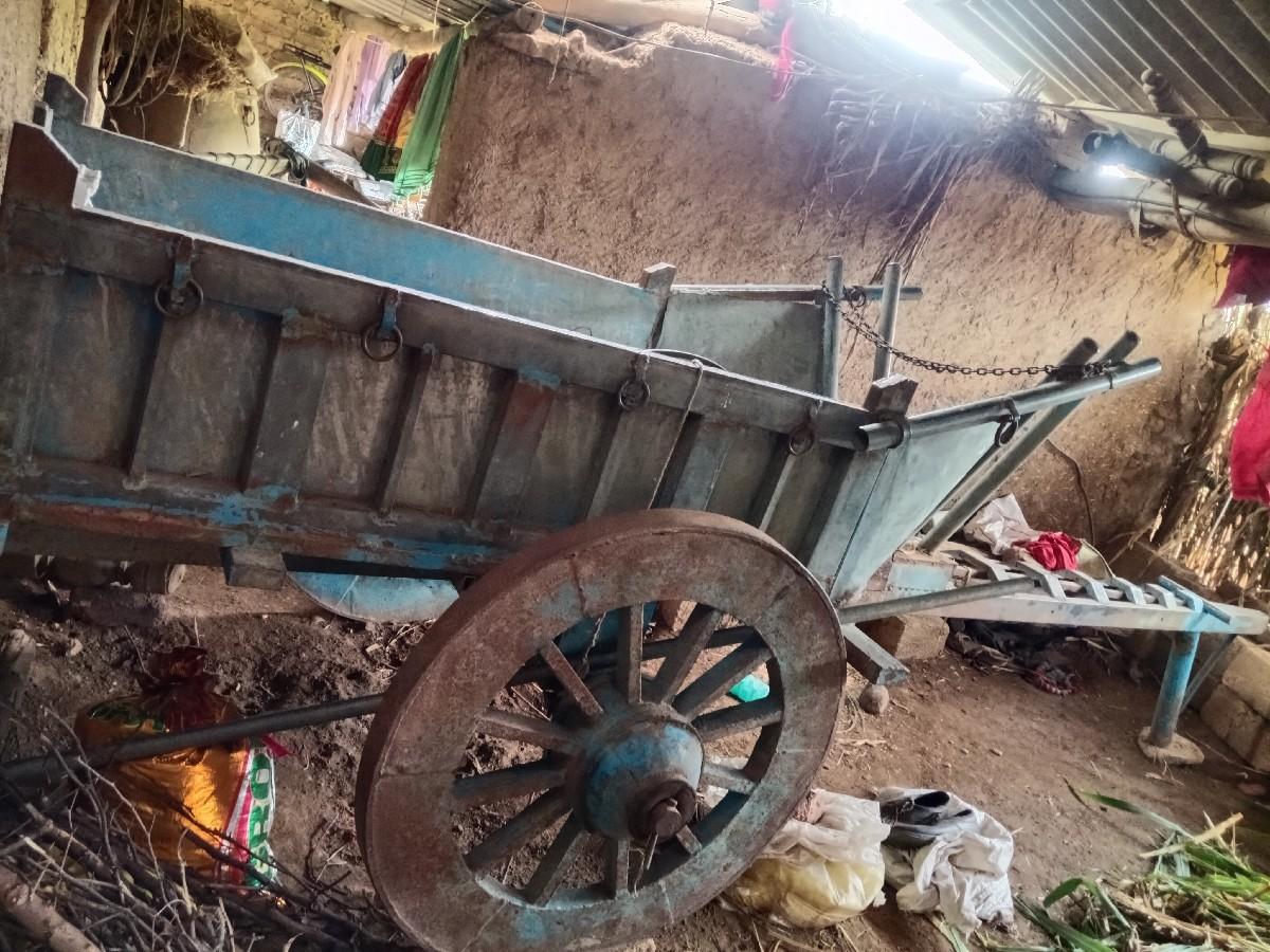 થંબનેલ 2