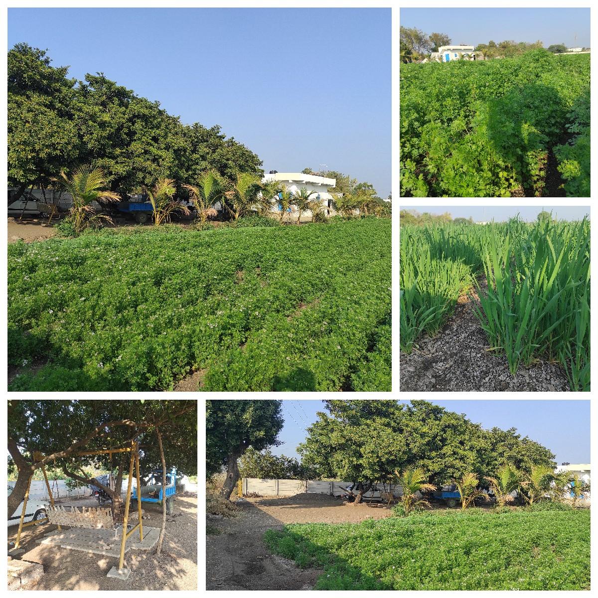 જમીન વેચવા ની છે