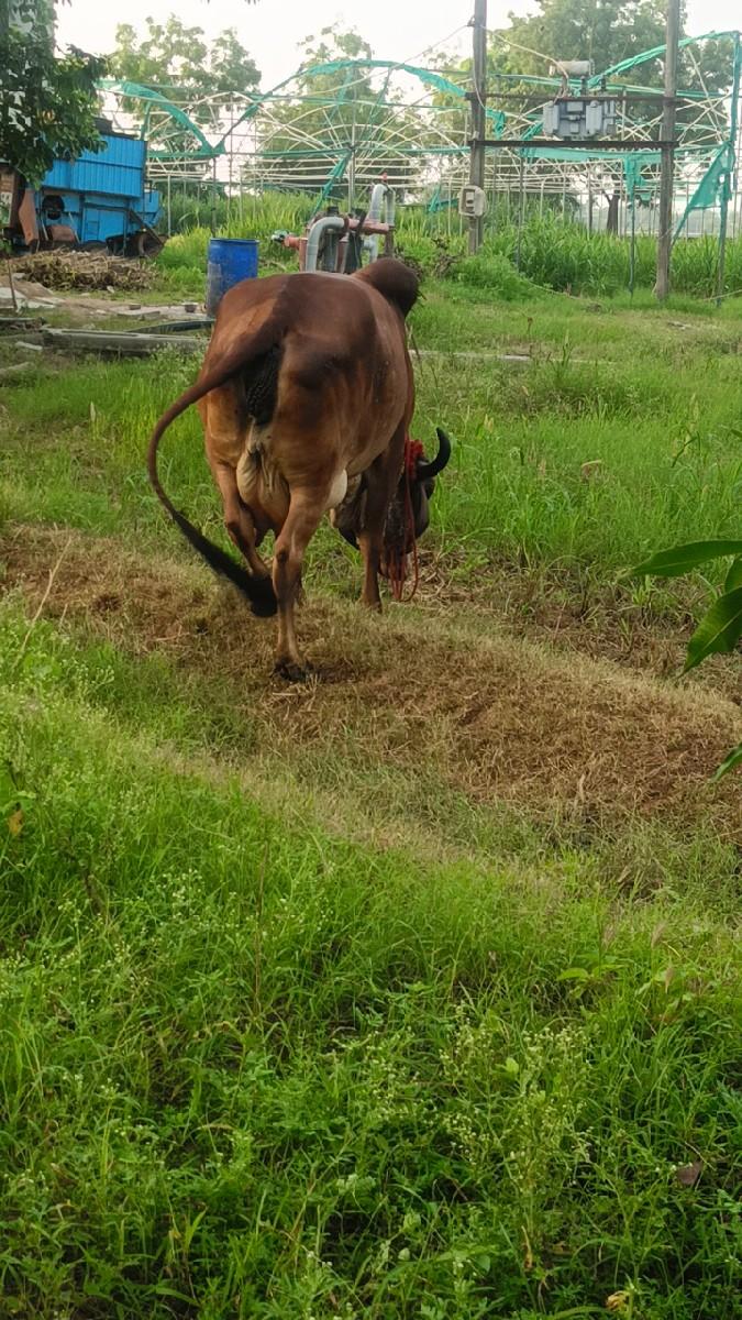 थंबनेल 2