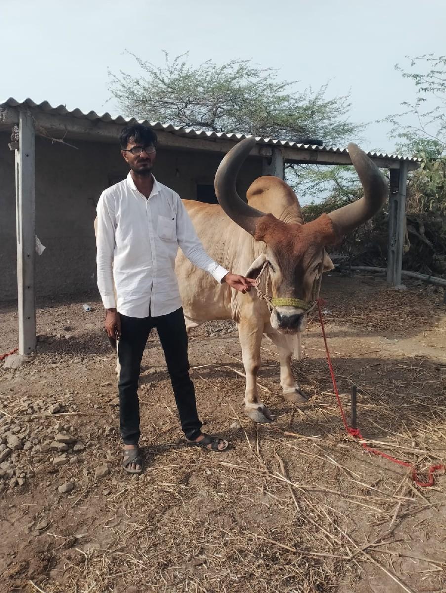 થંબનેલ 2