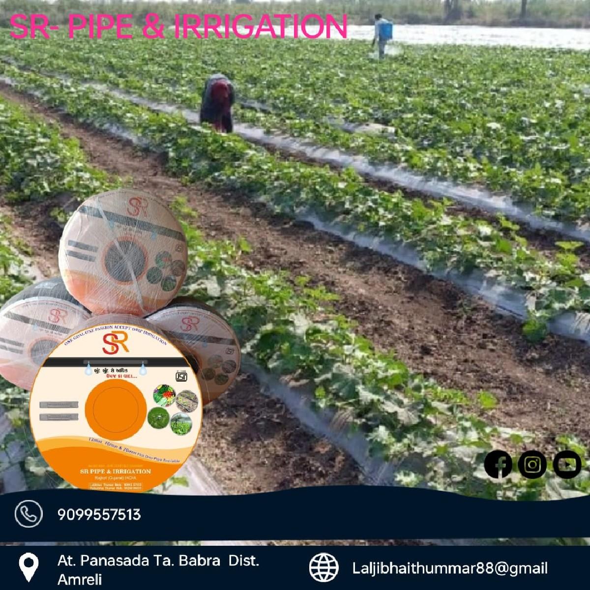 થંબનેલ 6