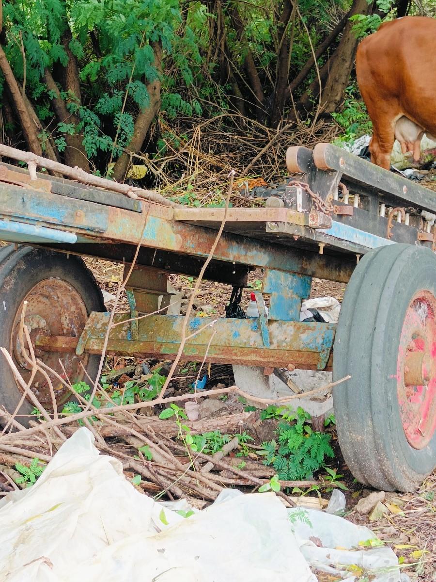 થંબનેલ 2