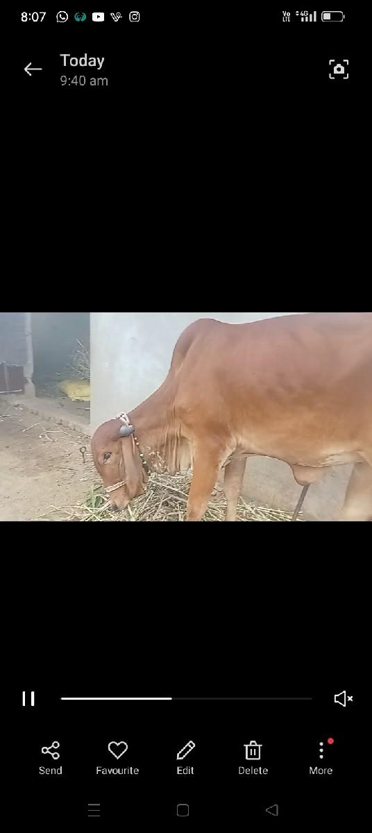 थंबनेल 2