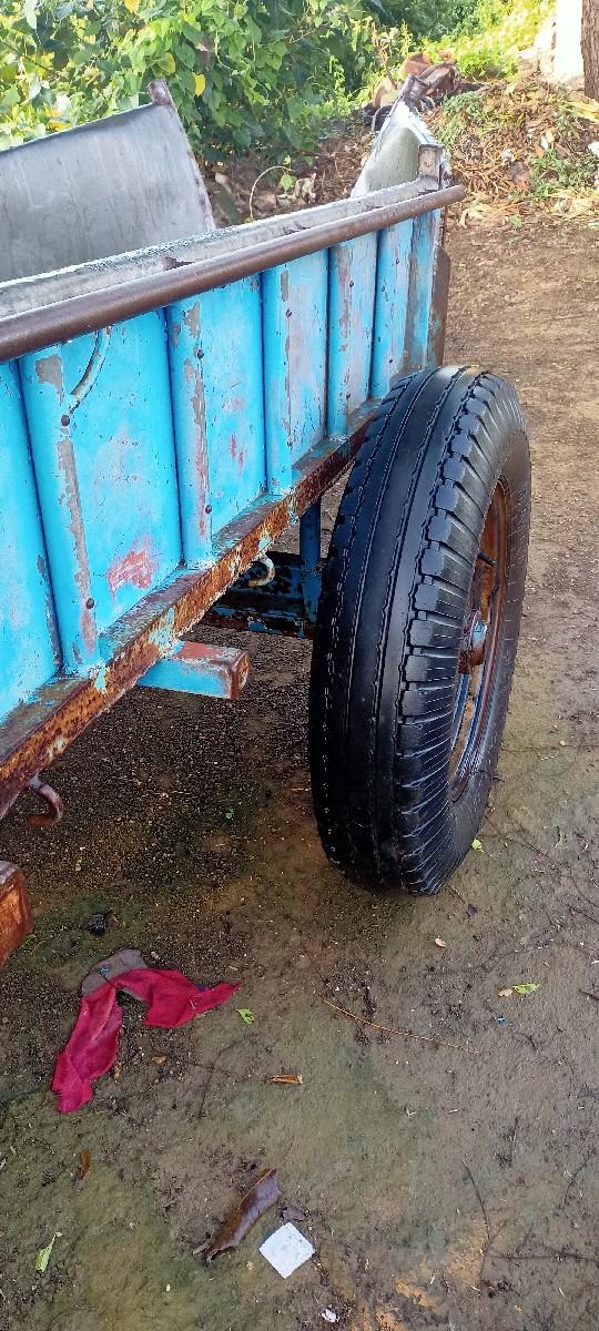 થંબનેલ 2