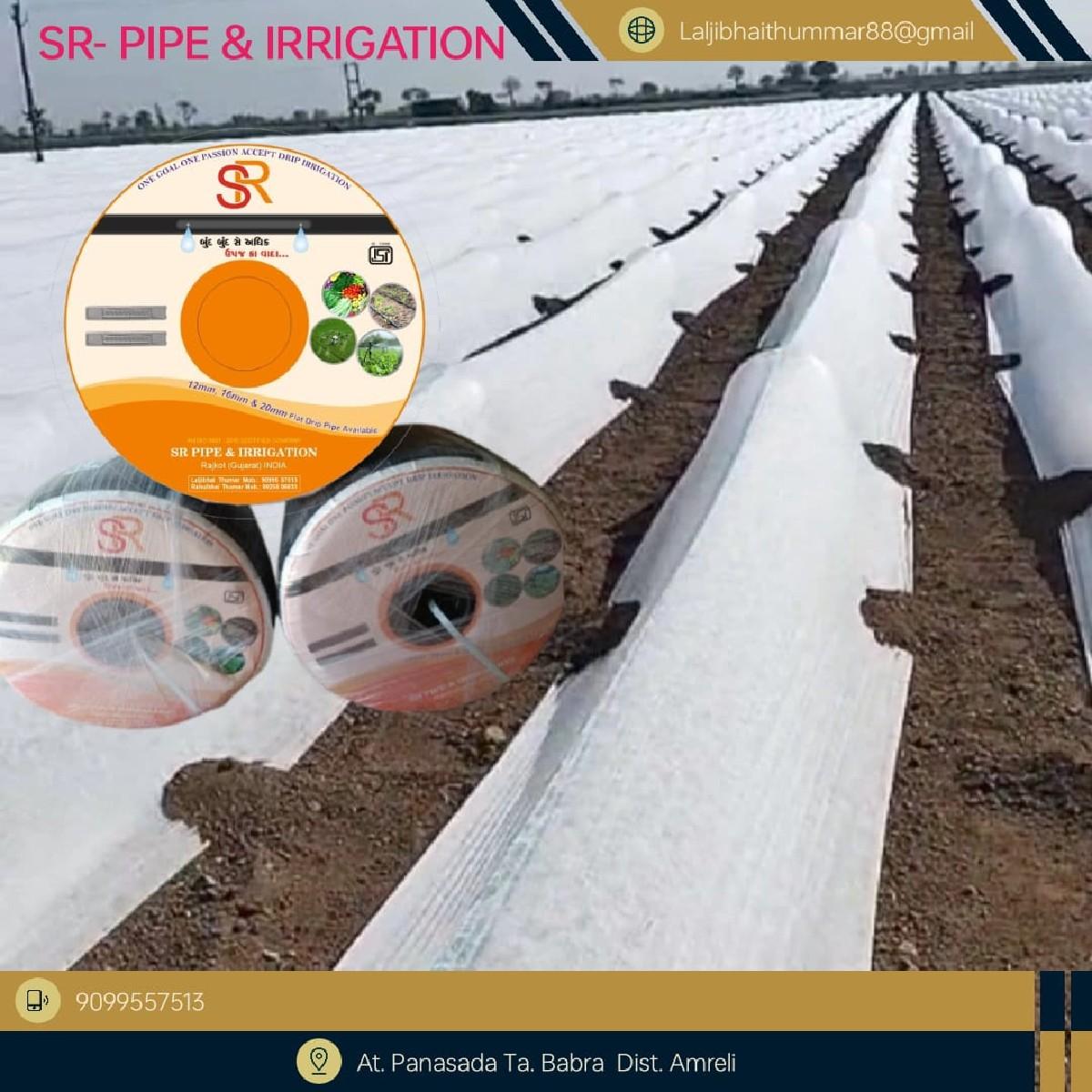 થંબનેલ 5