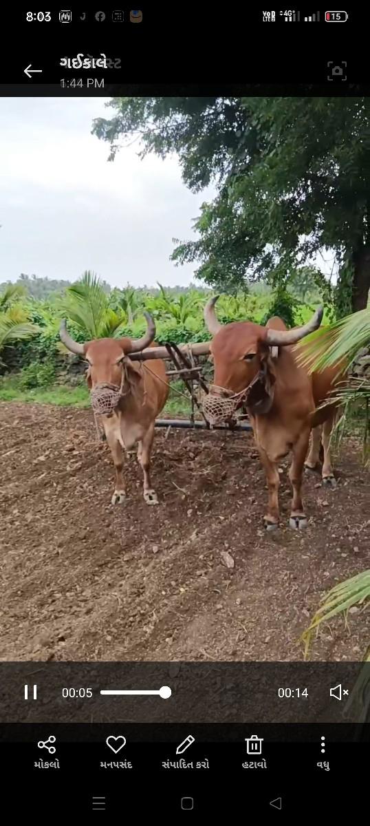 બણદ વેચવાનાછે