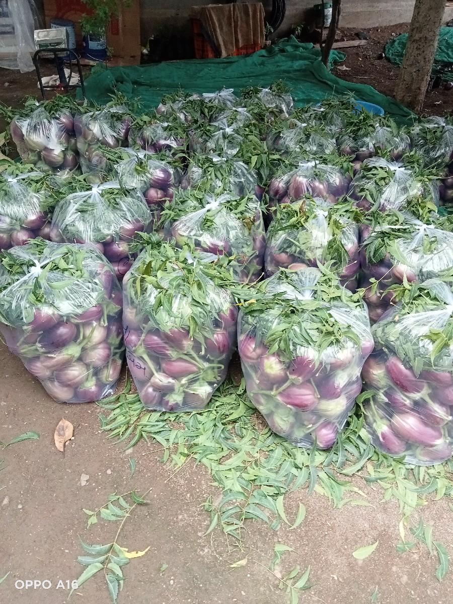 થંબનેલ 3