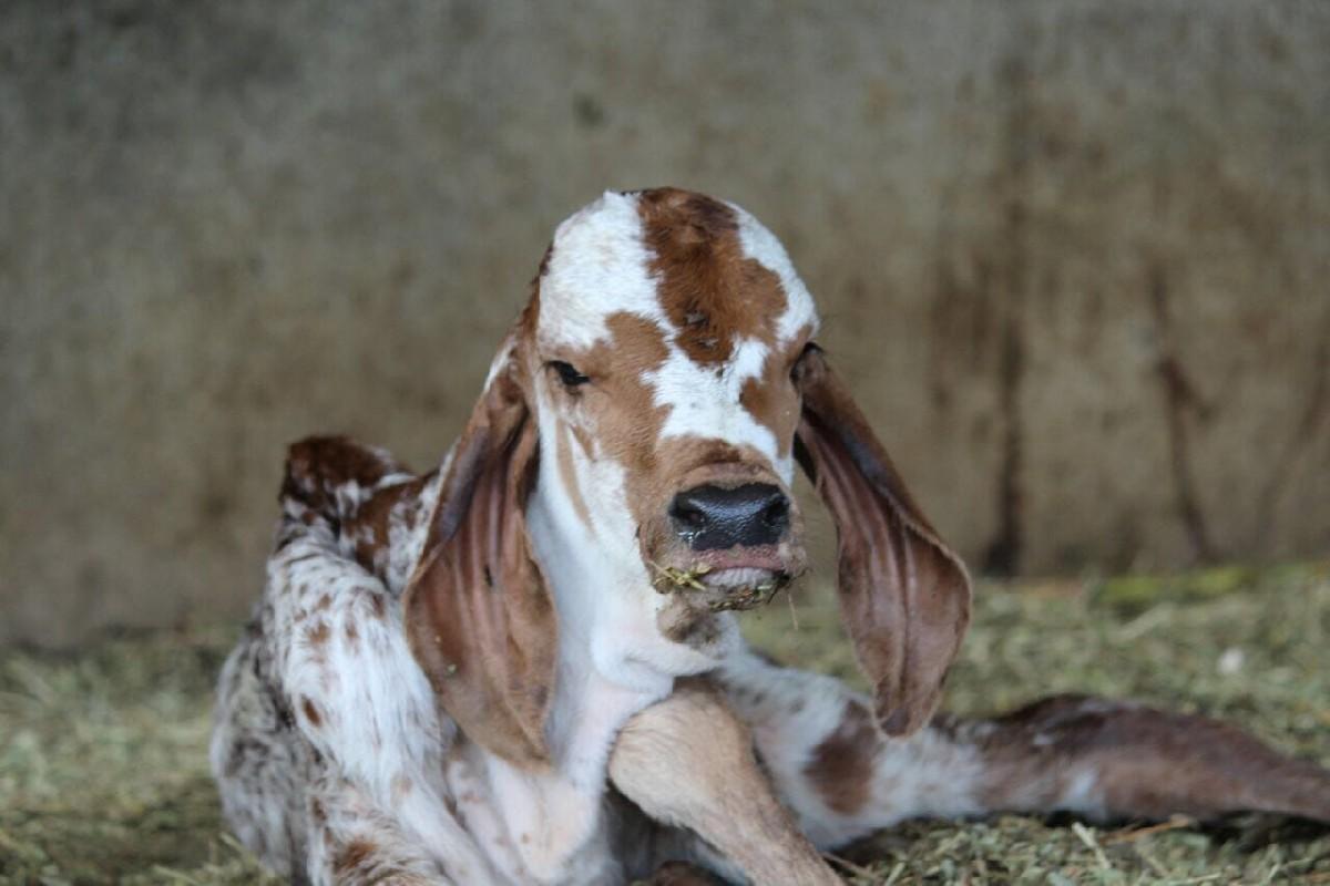 थंबनेल 3