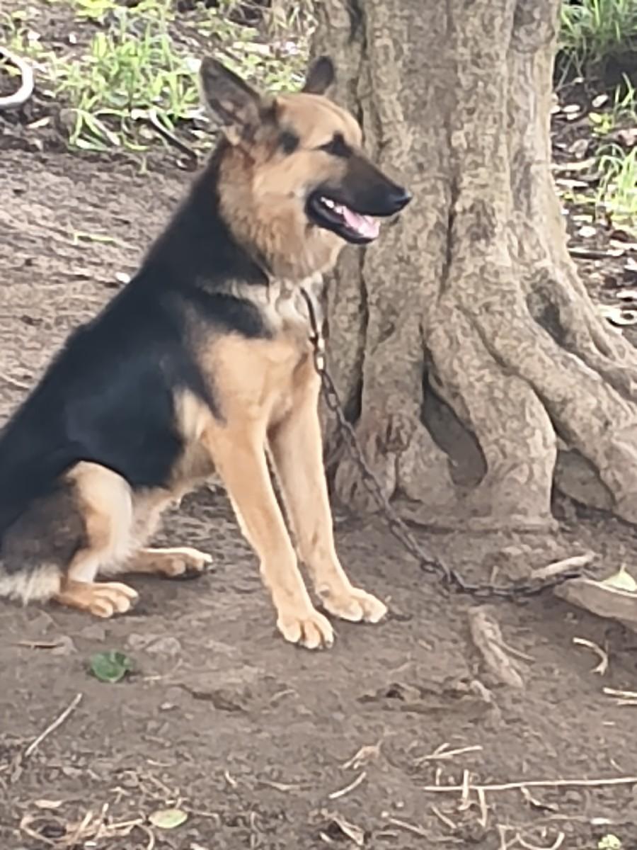 થંબનેલ 3