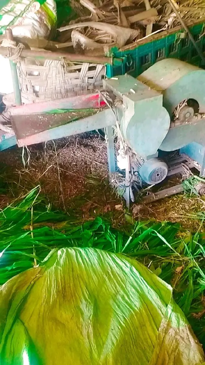 થંબનેલ 3