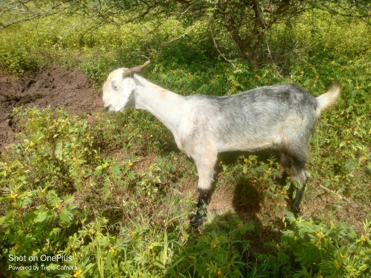 थंबनेल 3