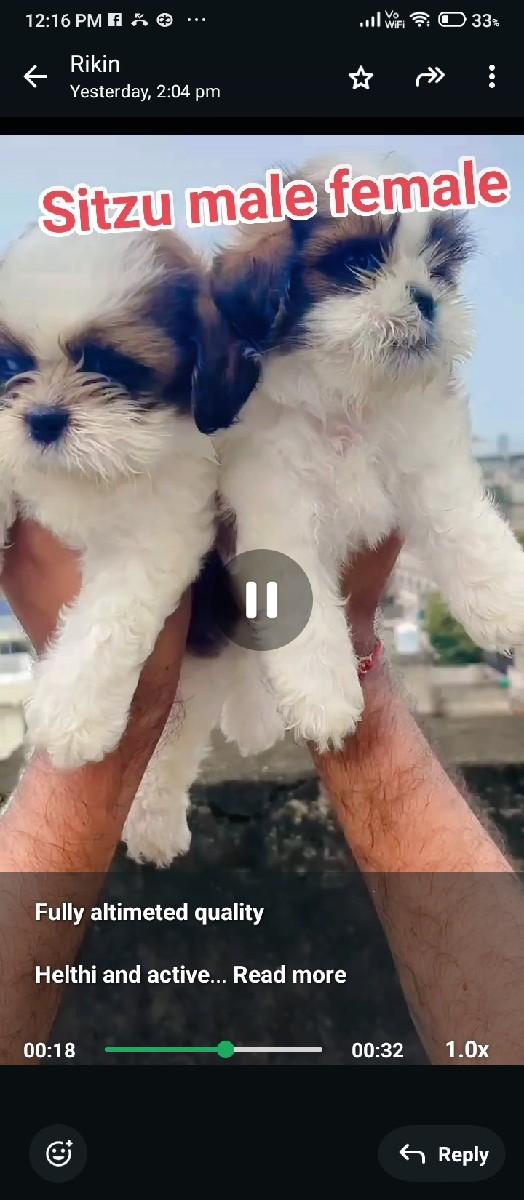 થંબનેલ 2