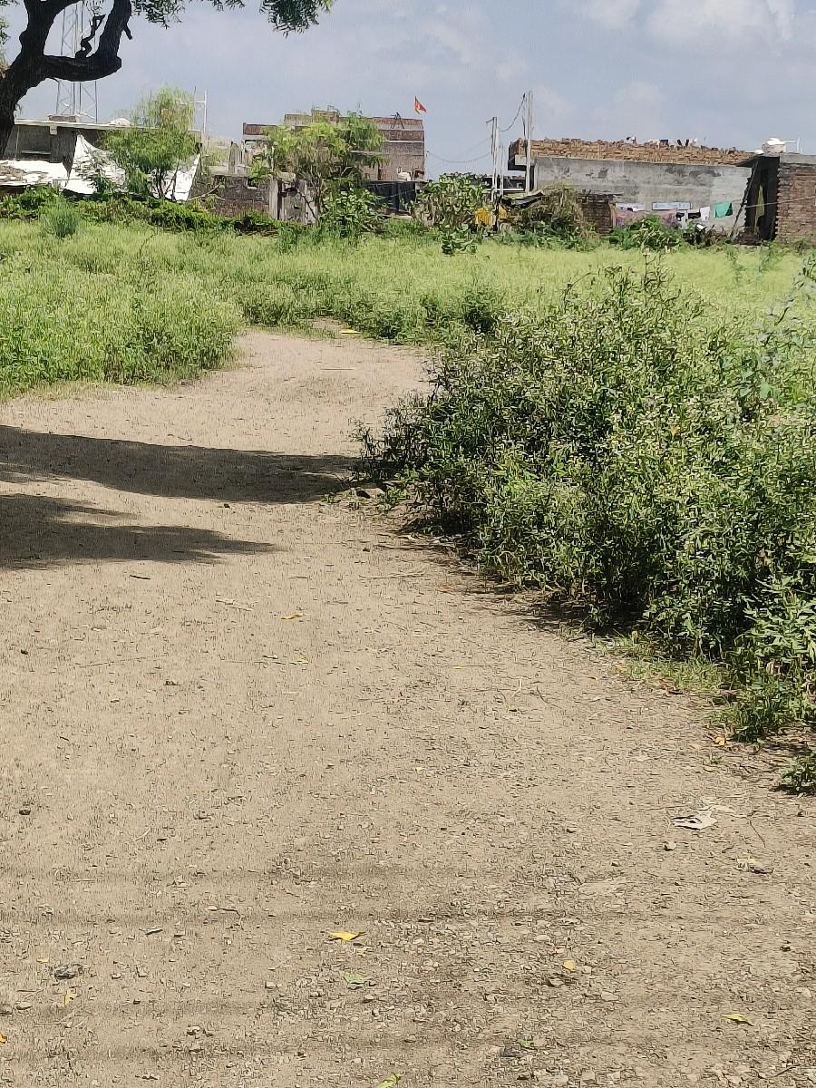 જમીનના ખરીદ વેચાણ માટે મળો