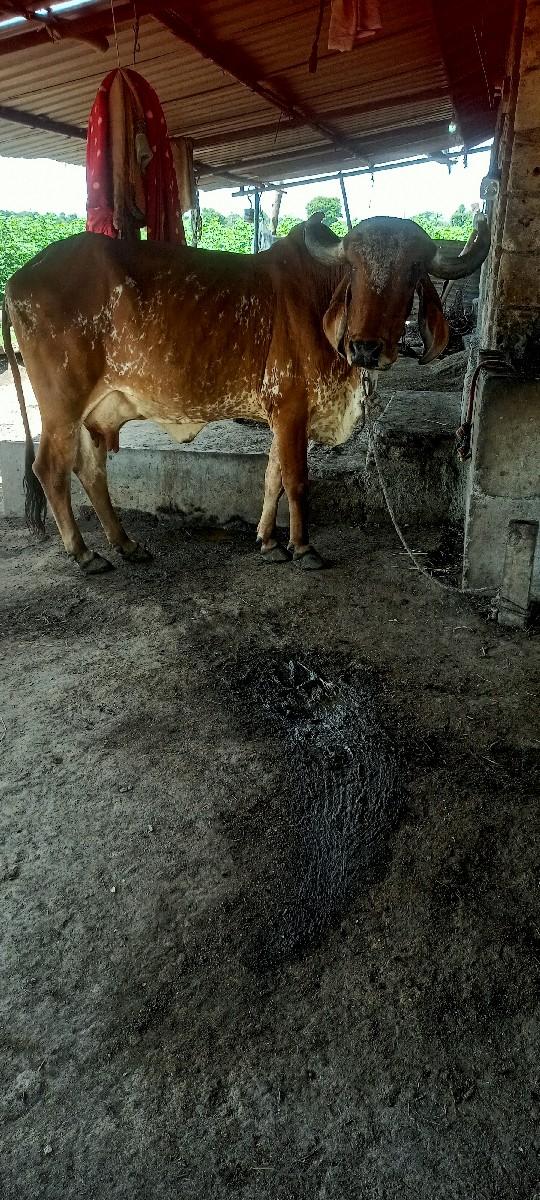 थंबनेल 2