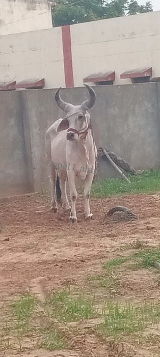 જોડ કરવાની