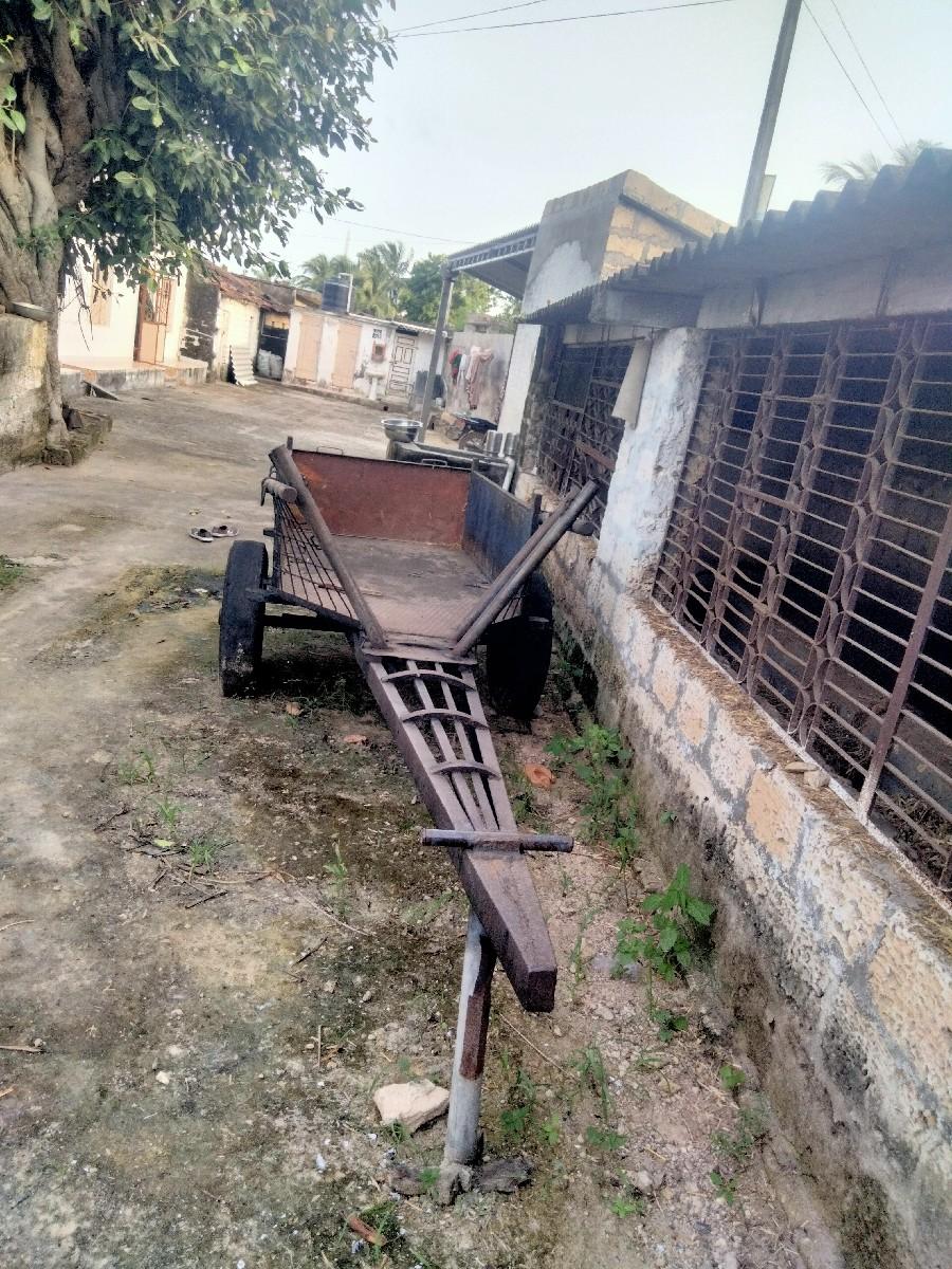 થંબનેલ 3