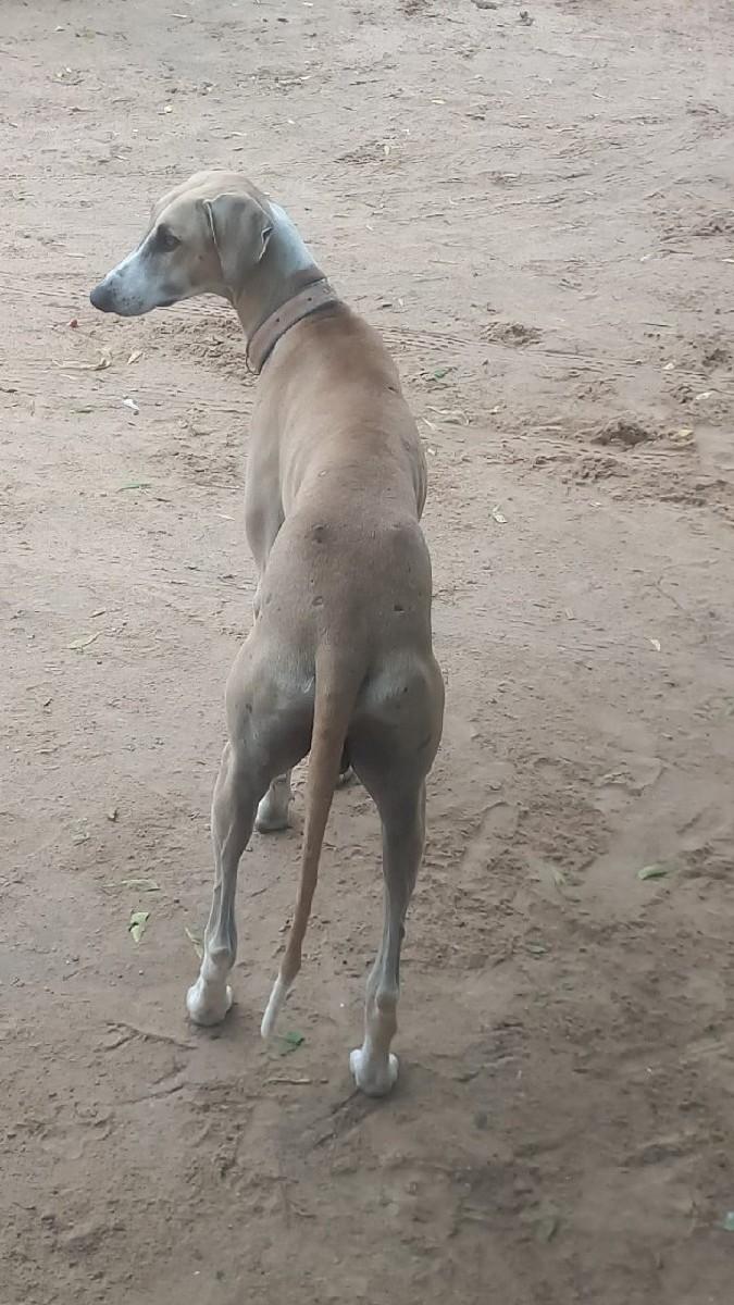 થંબનેલ 2