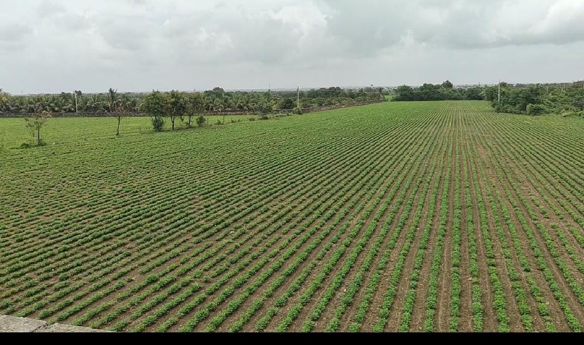 જમીન વેચવાની છે