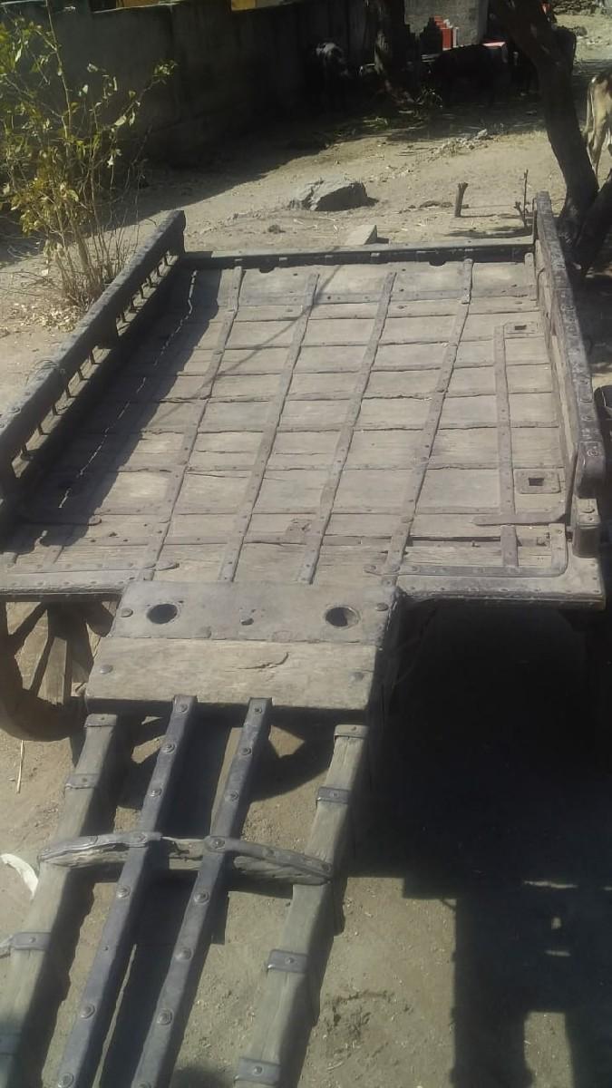 થંબનેલ 2