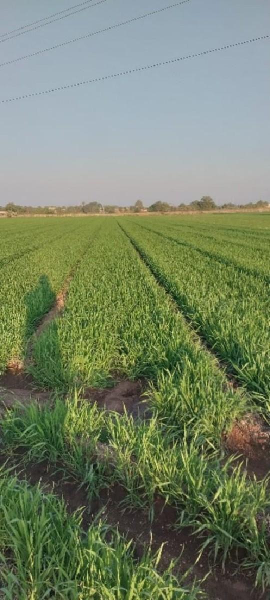 ખેતીની જમીન વેચવાની છે