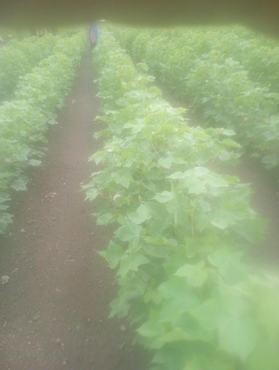 જમીન વેચવા ની છે