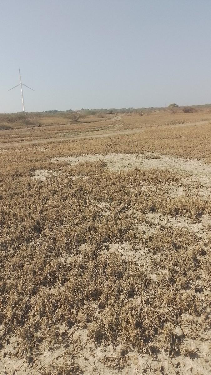 થંબનેલ 3