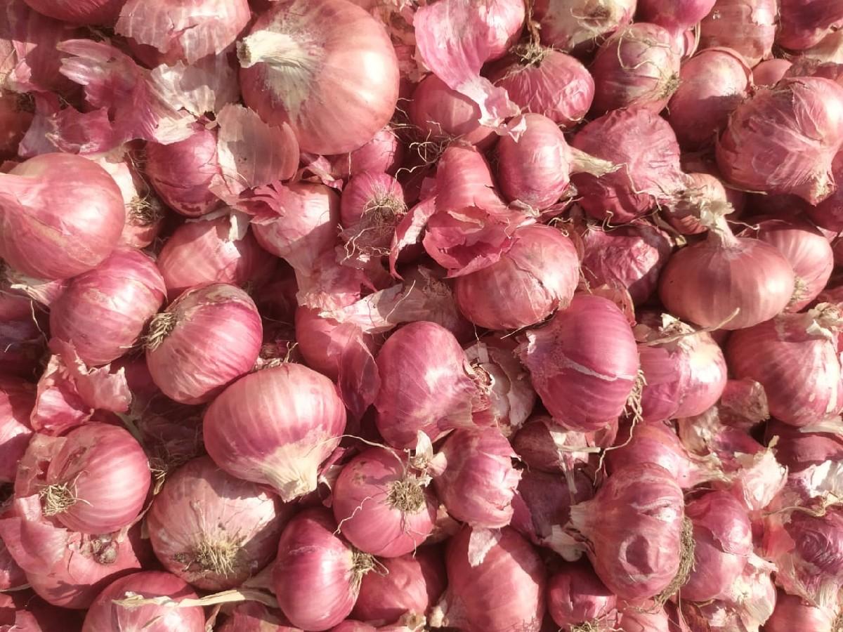 थंबनेल 2