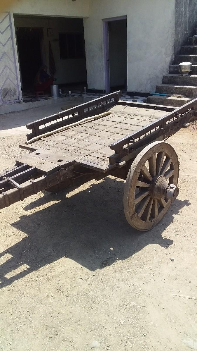 થંબનેલ 3