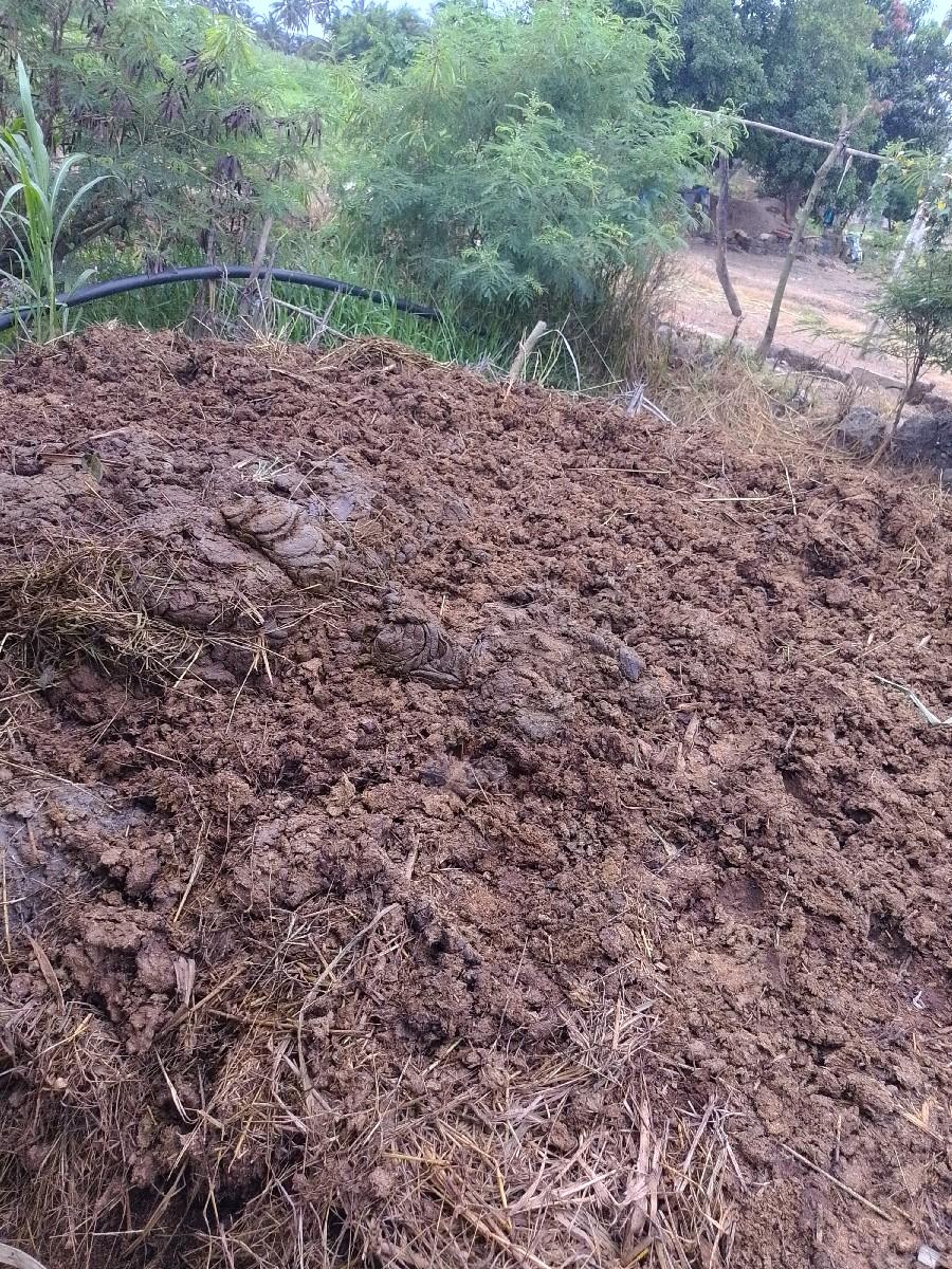 deci khatar sanyu pyor