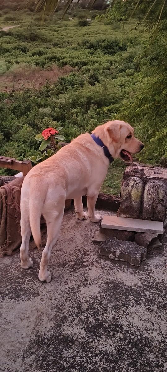 थंबनेल 2