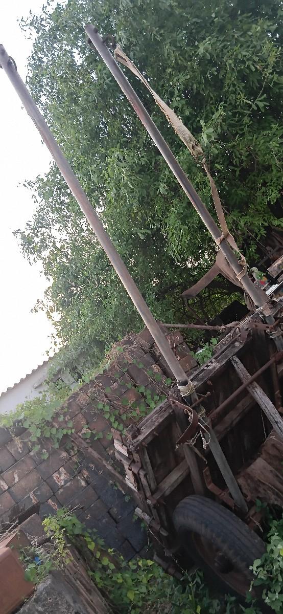 ઊંટ વેચવાનો છે