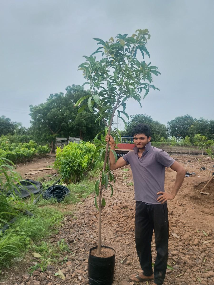 थंबनेल 3