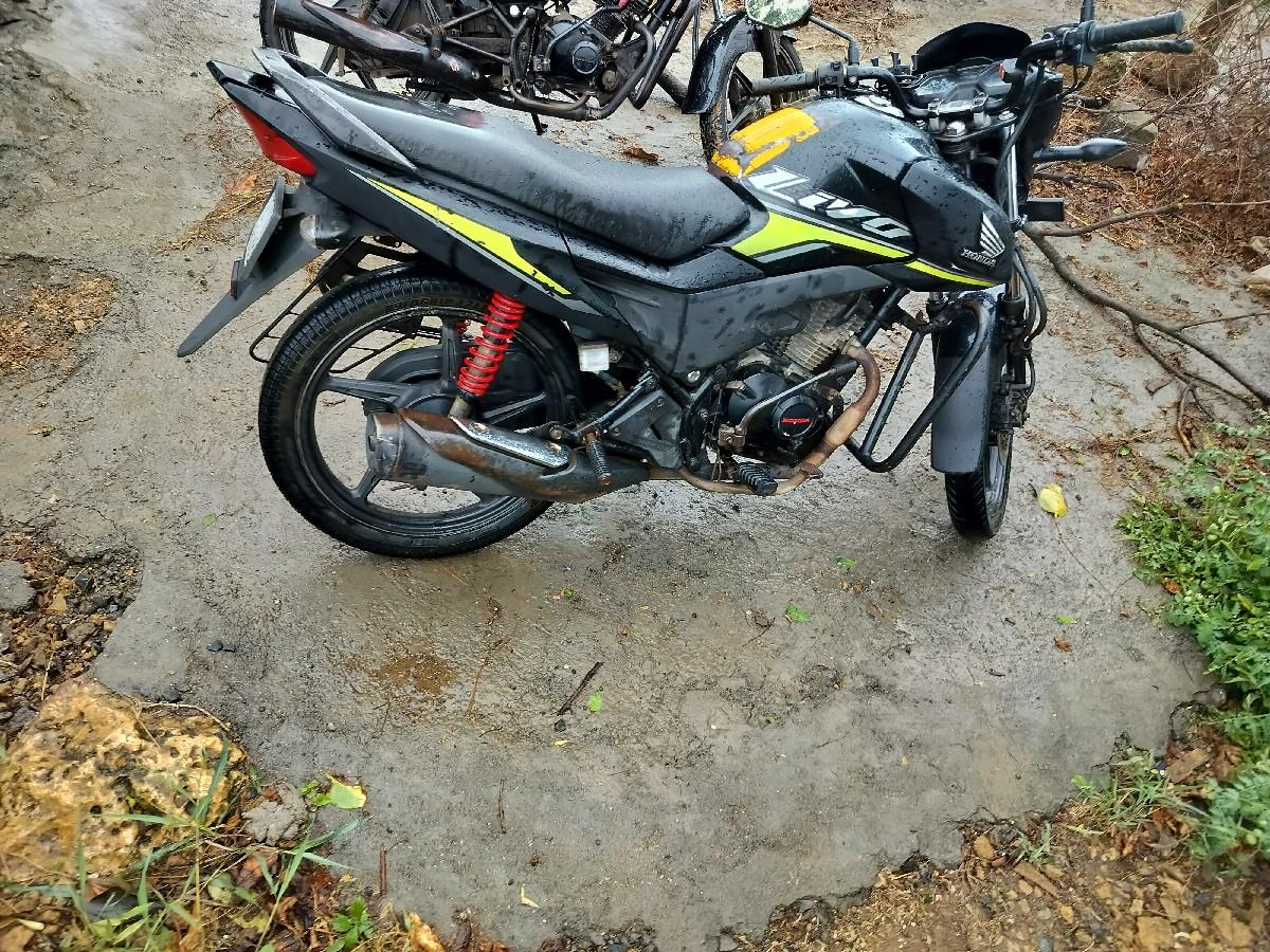 Honda Livo