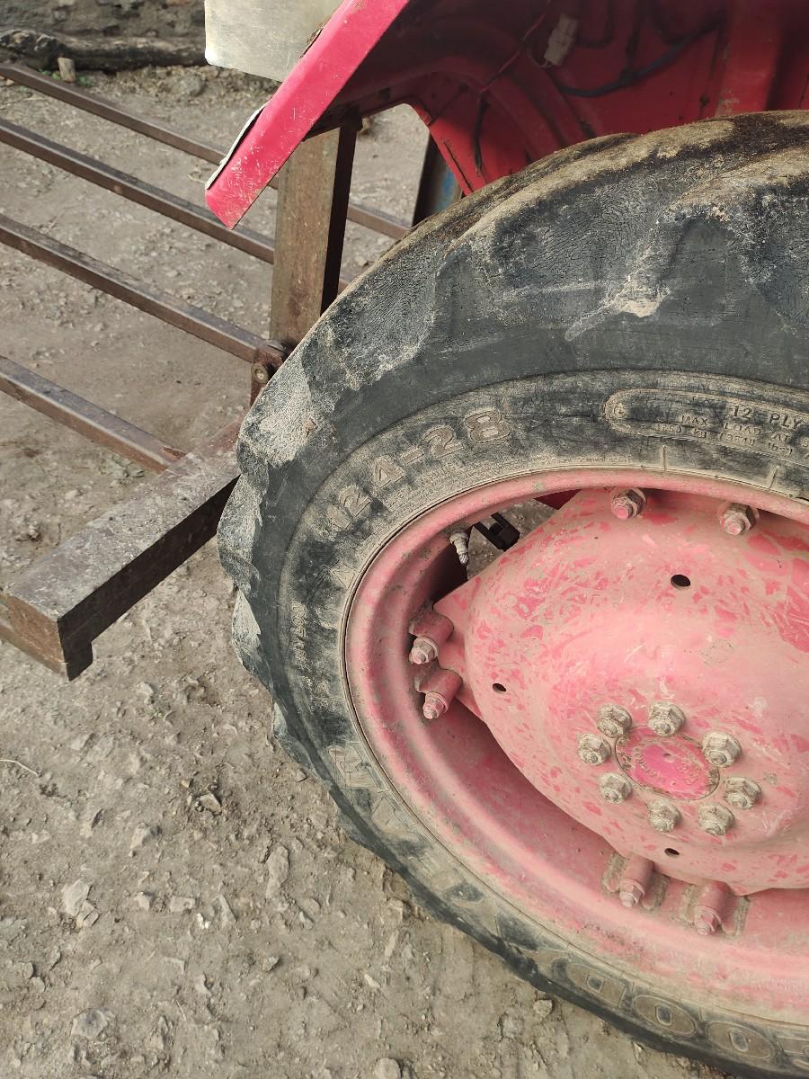 થંબનેલ 2