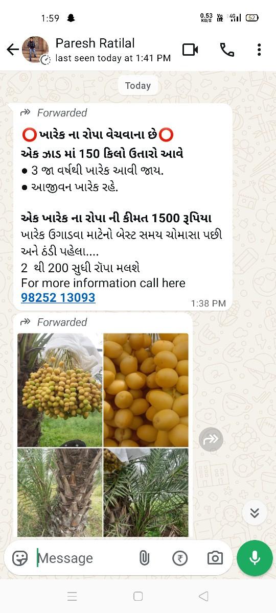 ખારેક ના રોપા વેચવાના સે ગામ કડ