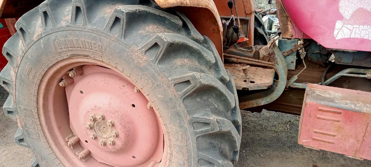 થંબનેલ 2