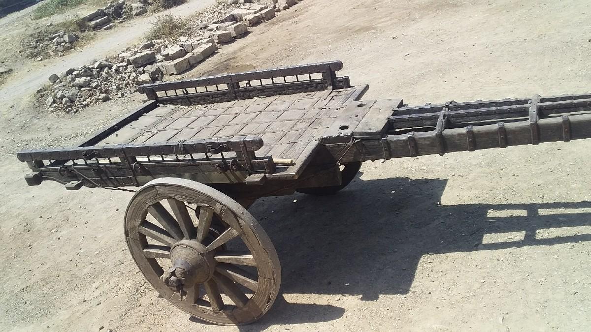 થંબનેલ 2