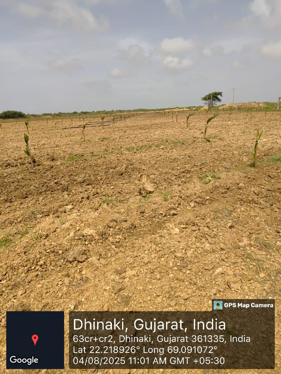 થંબનેલ 2