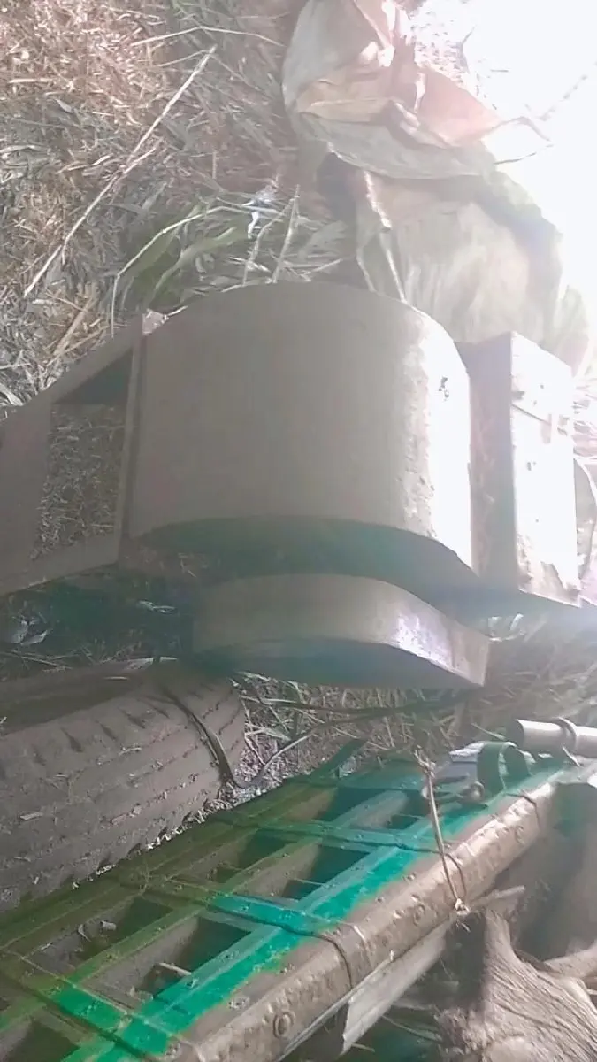 થંબનેલ 2