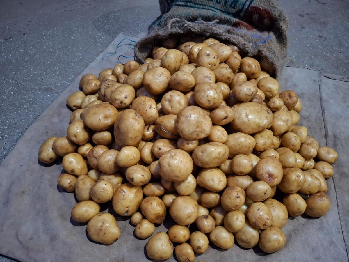 થંબનેલ 3