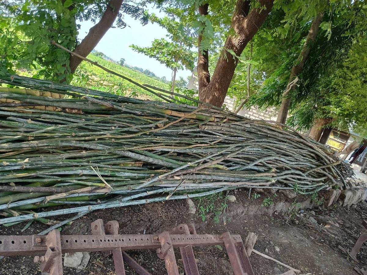 थंबनेल 2