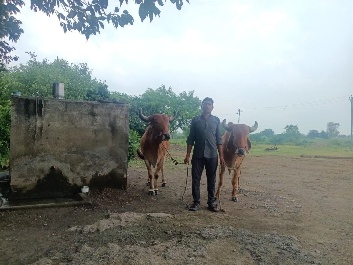 थंबनेल 3