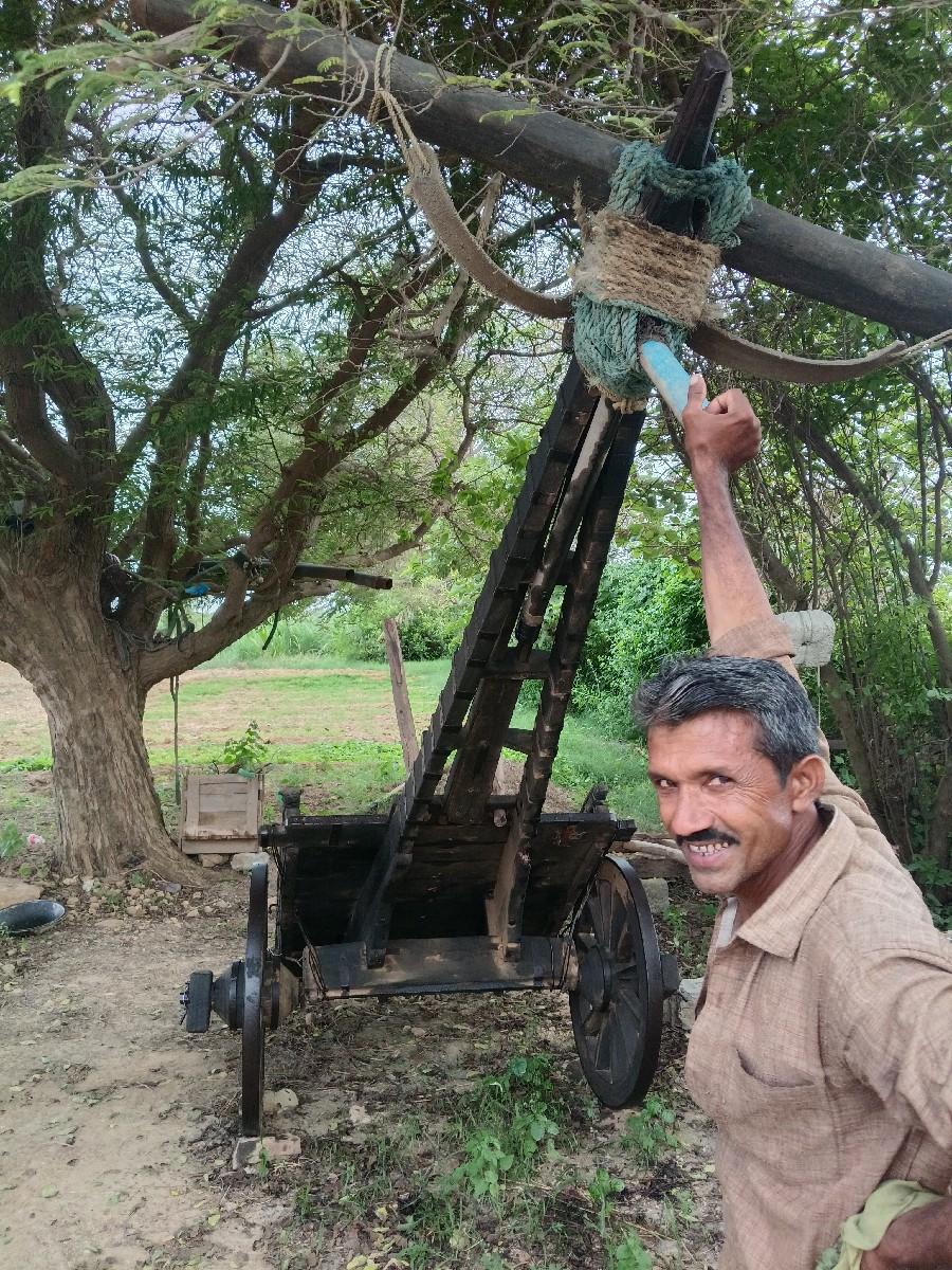 થંબનેલ 3